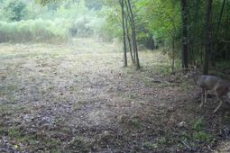 561 Church Road  photo 4