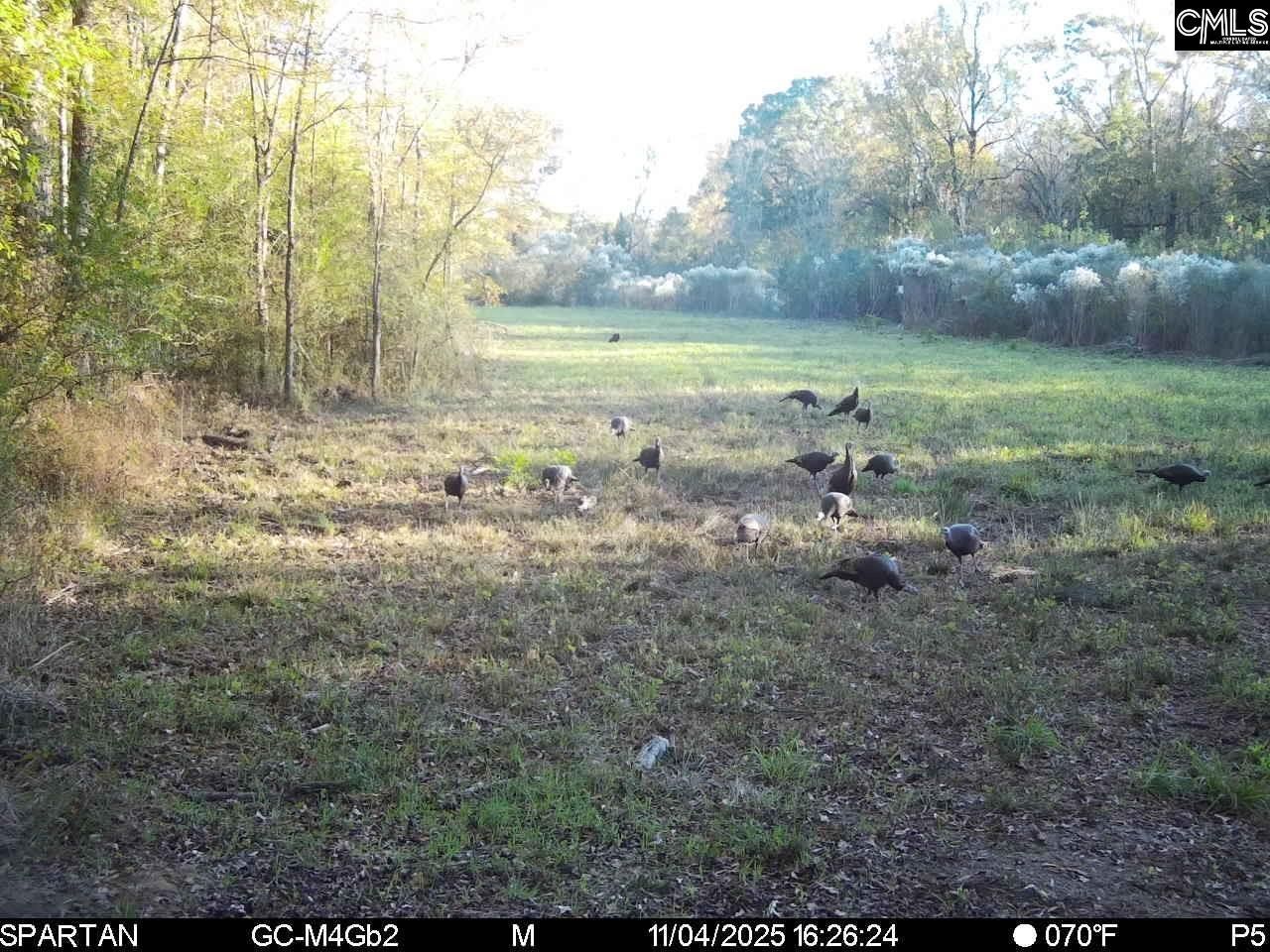 561 Church Road  Photo 6