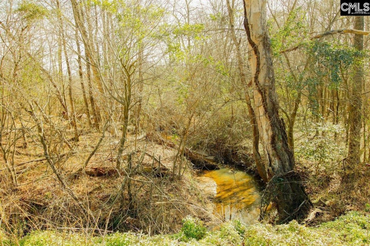 561 Church Road  Photo 9