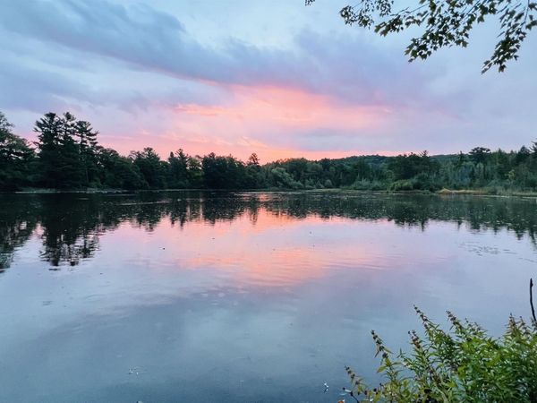 5466 Millbrook Drive, Unit 6, Williamsburg, MI 49690