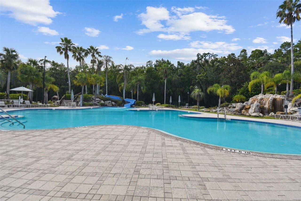 11002 Sundrift Drive, Tampa, FL 33647 Photo