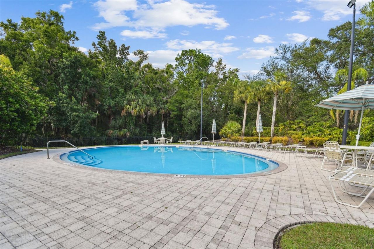 11002 Sundrift Drive, Tampa, FL 33647 Photo