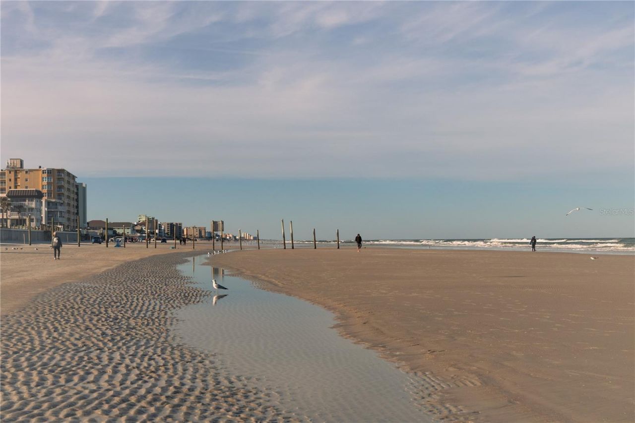 3801 S Atlantic Avenue, Unit UT204, New Smyrna Beach, FL 32169 Photo