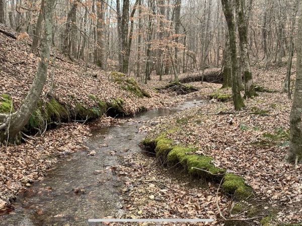 0 West Mackey Rd, Iron City, TN 38463