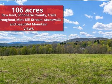 State Route 10, Jefferson, NY 12093