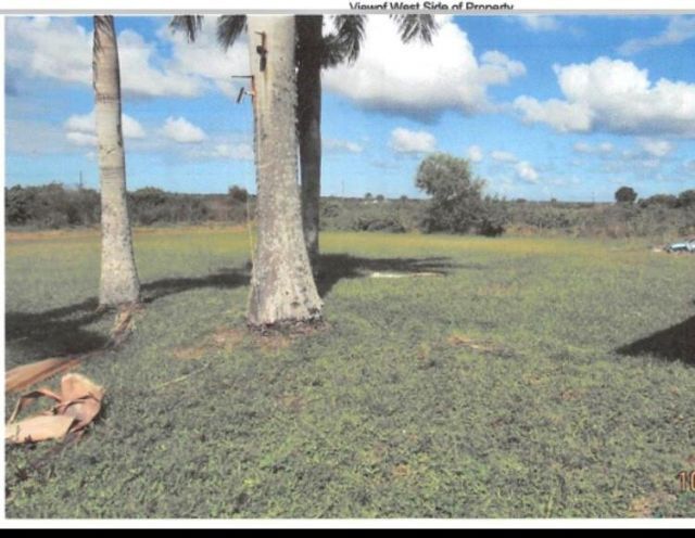 20771 Simone Drive, Loxahatchee, FL 33470 Photo