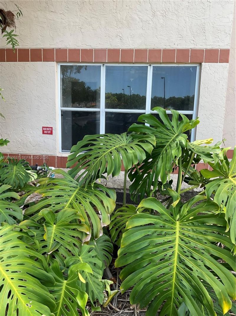 3320 N Pinewalk Dr N, Unit 1715, Margate, FL 33063 Photo