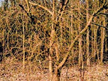 5931 N Territorial Road E, Salem Twp, MI 48105