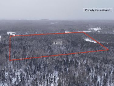 XX40 Lavaque Road , Duluth, MN 55802