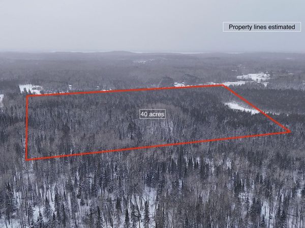 XX40 Lavaque Road , Duluth, MN 55802