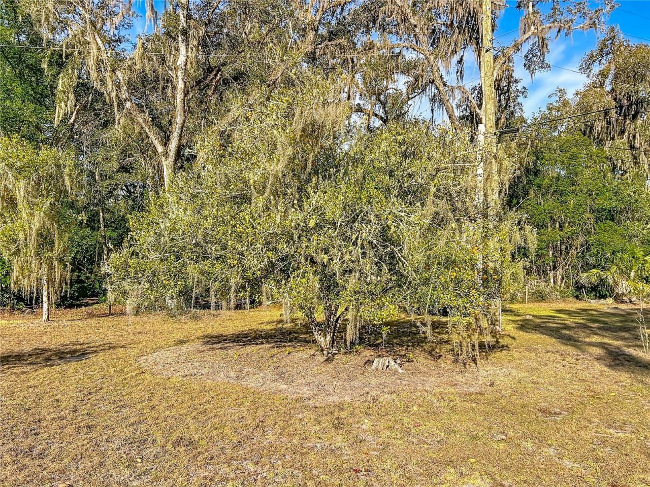 19037 Ravenswood Road, Altoona, FL 32702 Photo