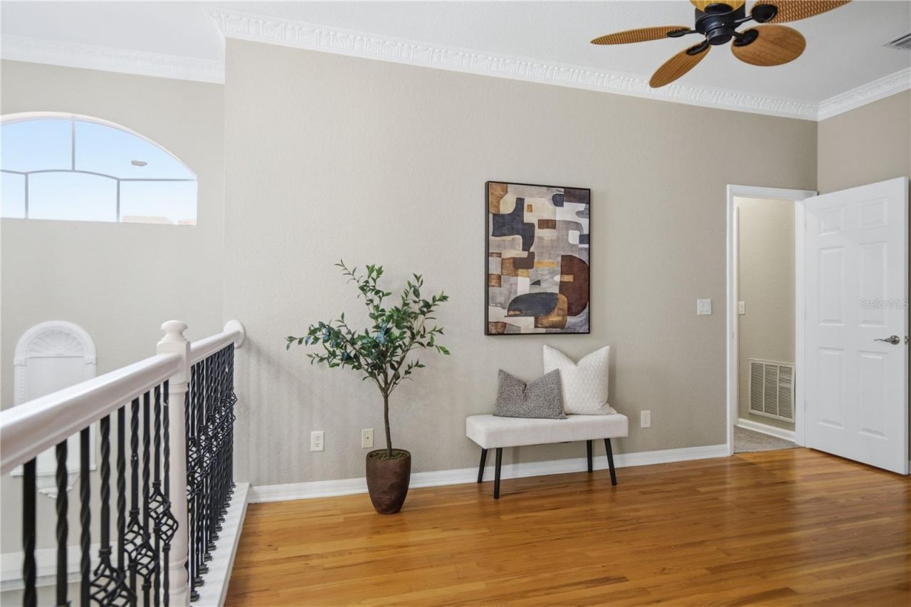 302 Shore Drive, Palm Harbor, FL 34683 Photo