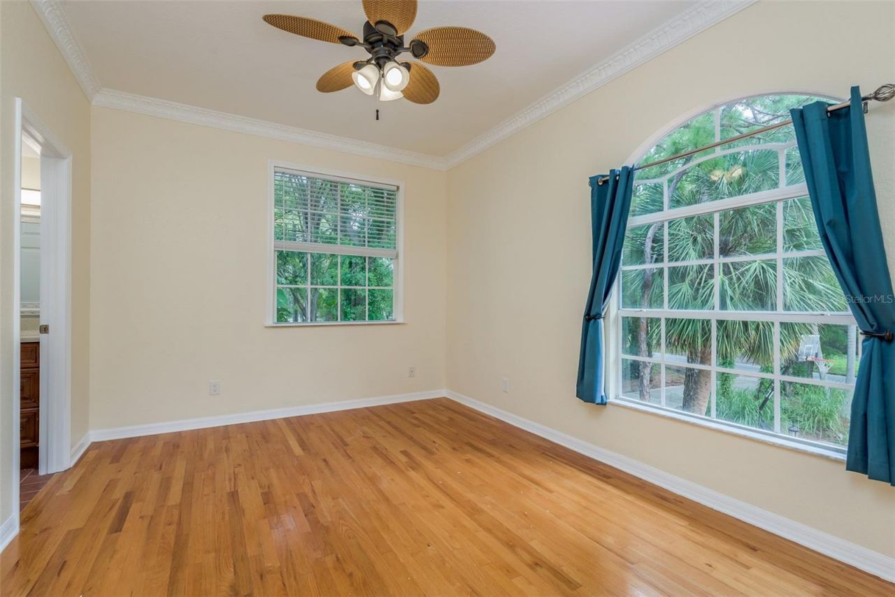 302 Shore Drive, Palm Harbor, FL 34683 Photo