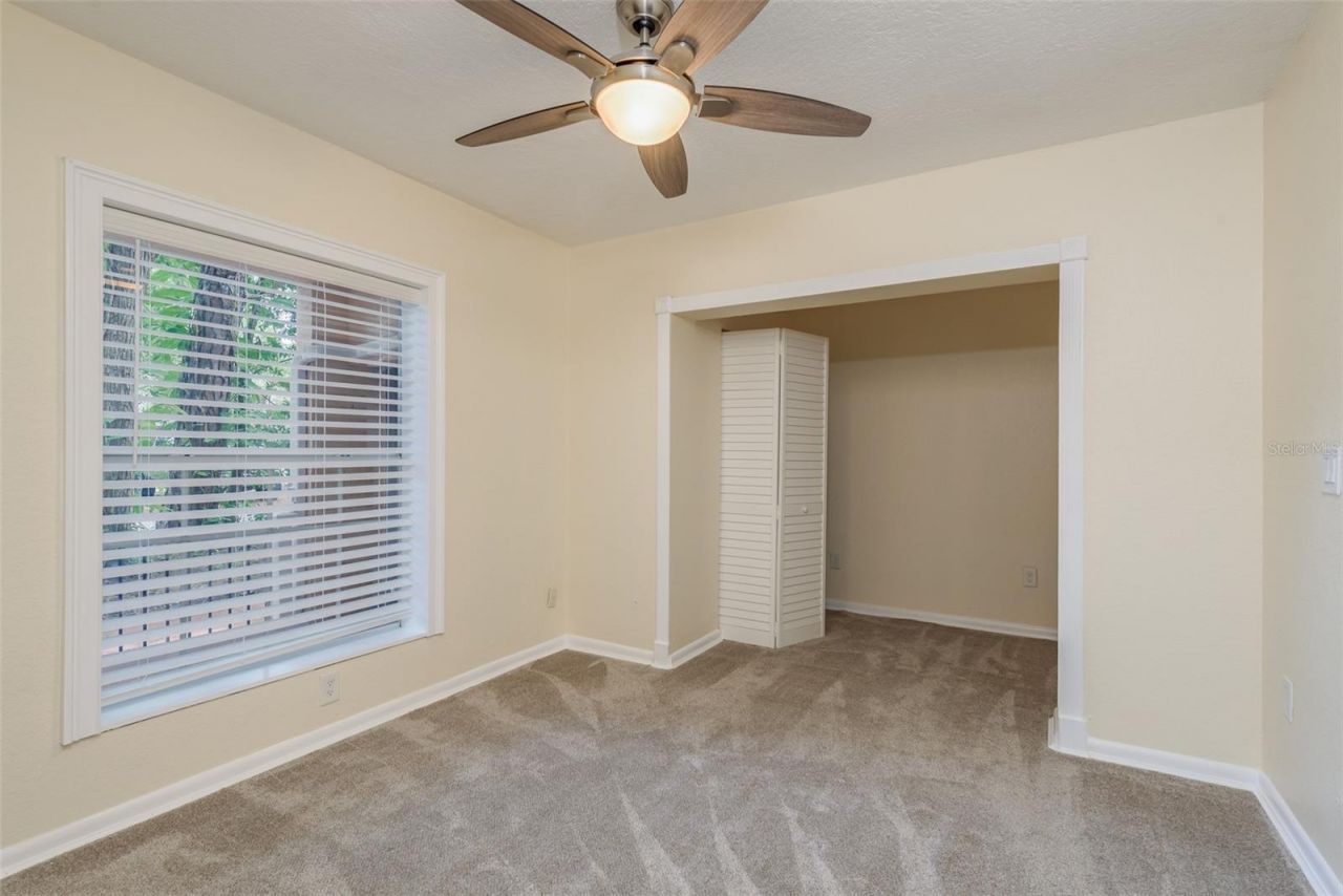 302 Shore Drive, Palm Harbor, FL 34683 Photo