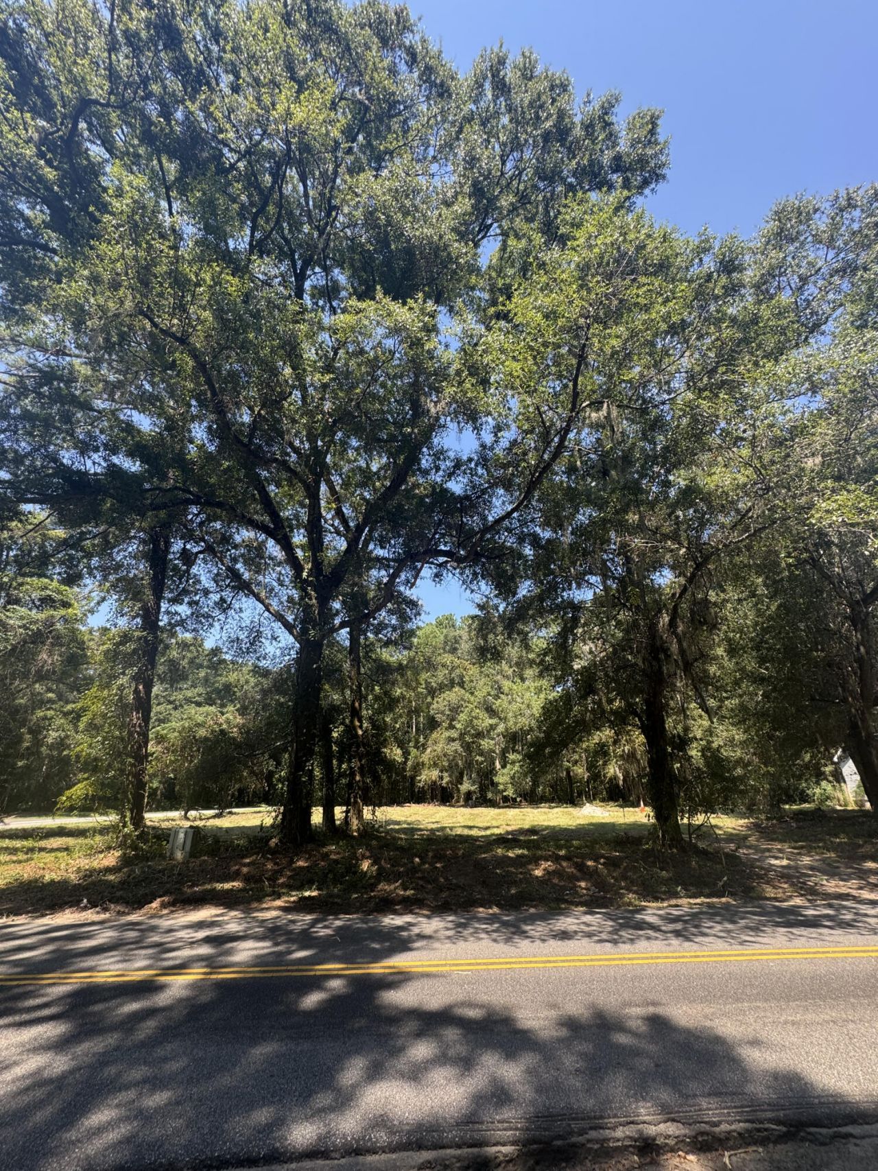 3634 Berryhill Road Photo 52