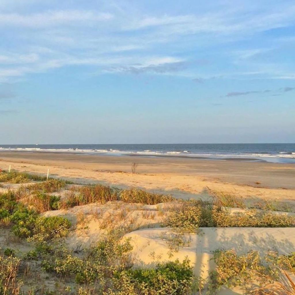 3634 Berryhill Road Photo 55