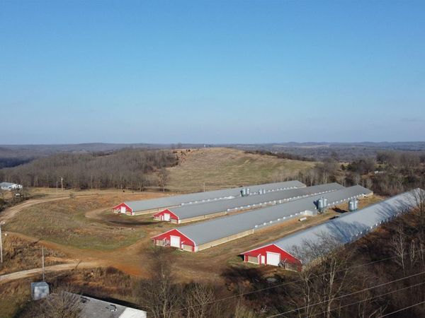 498 Lawrence 100, Ravenden, AR 72459