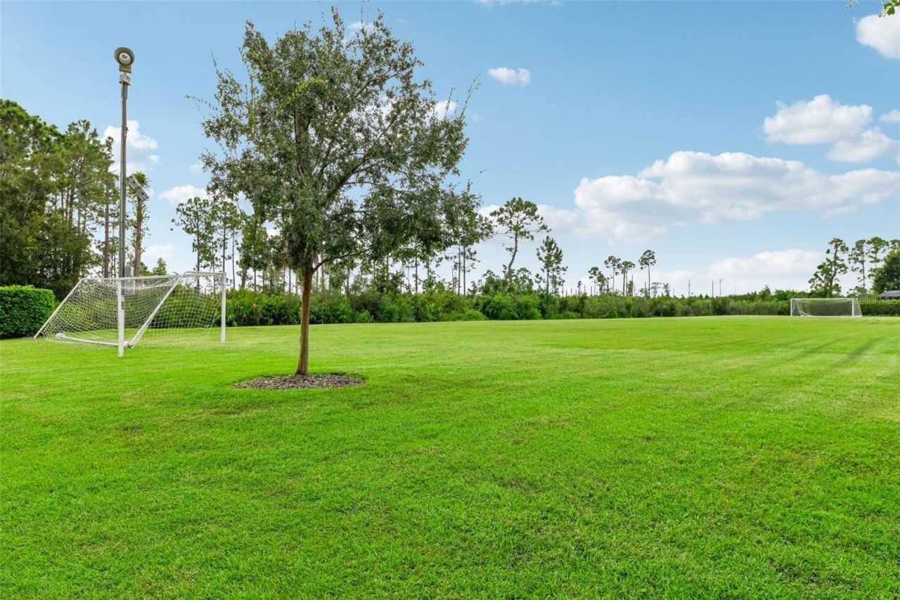 2381 Broken Elm Place, Oviedo, FL 32766 Photo