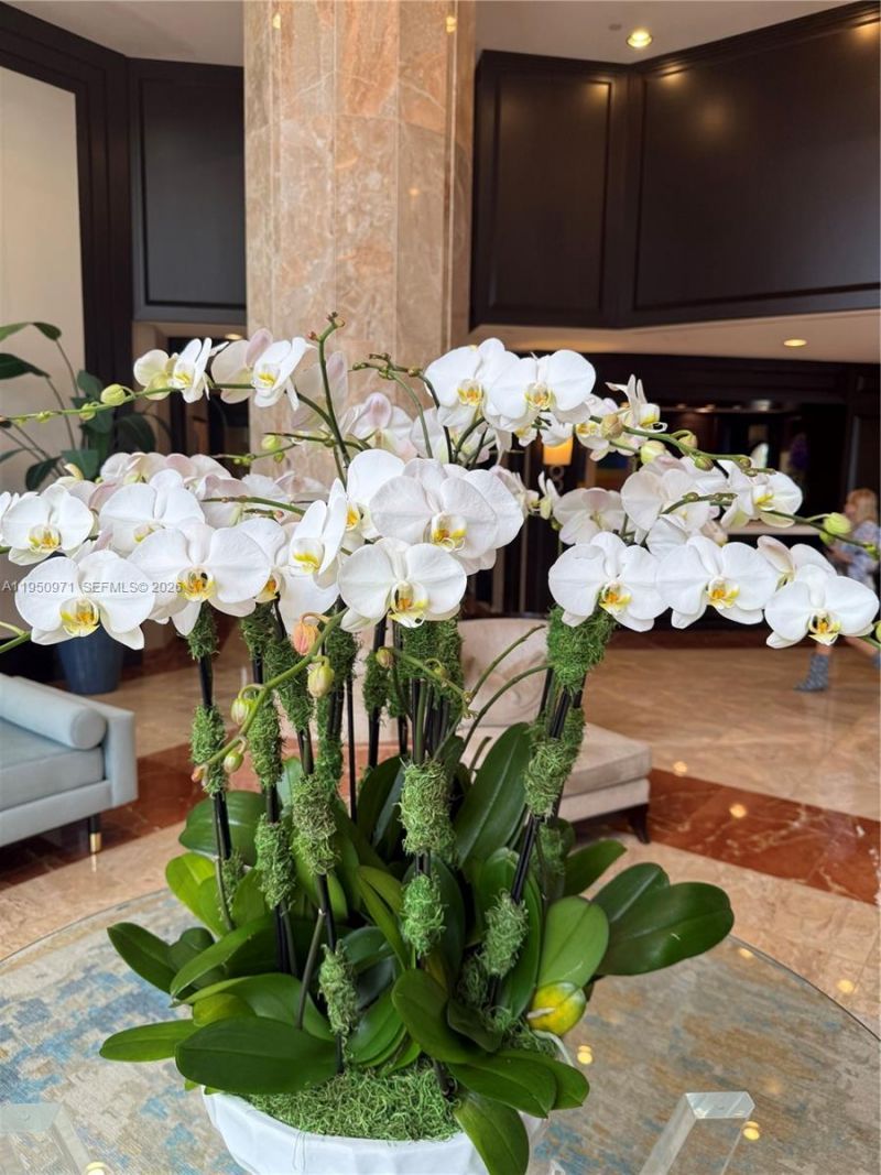 4000 Island Blvd, Unit 2402, Aventura, FL 33160 Photo