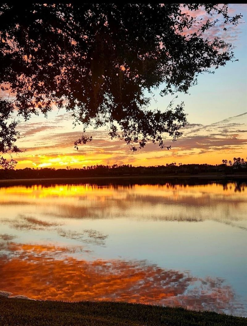 6527 Moorings Point Circle, Unit 101, Lakewood Ranch, FL 34202 Photo