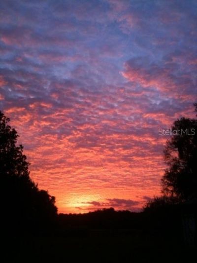 9760 W Highway 316, Reddick, FL 32686 Photo