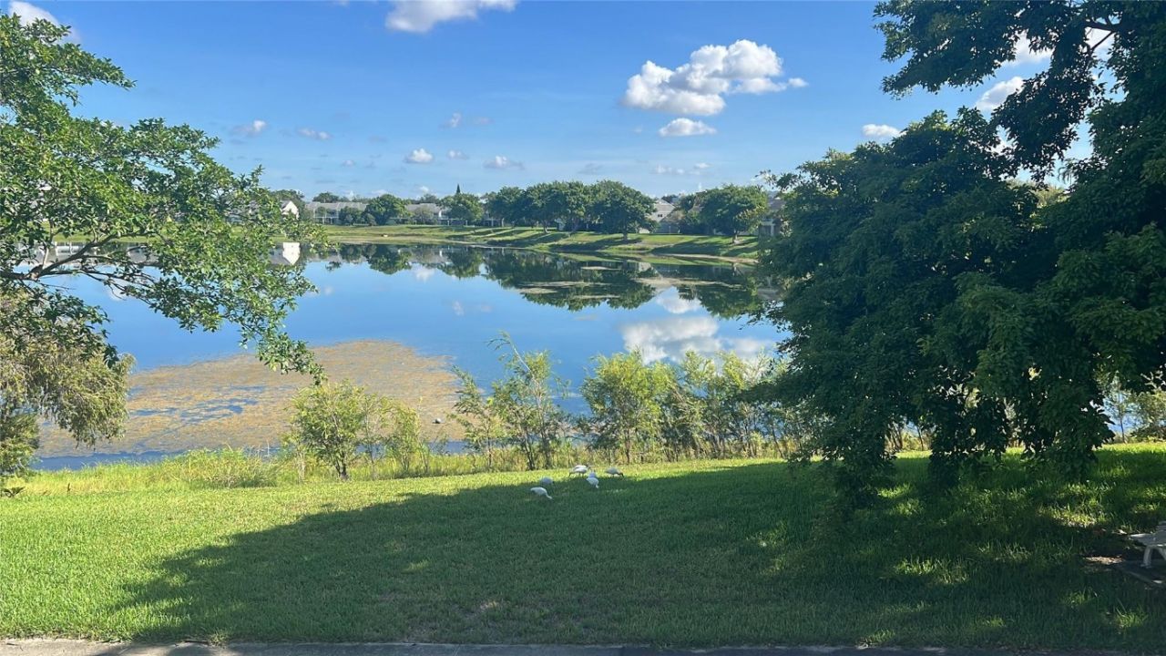 3405 NW 44th Street, Unit 105, Lauderdale Lakes, FL 33309 Photo