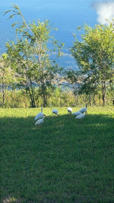 3405 NW 44th Street, Unit 105, Lauderdale Lakes, FL 33309 Photo