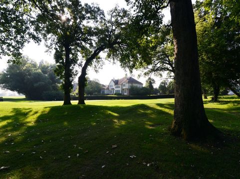 Main Photo