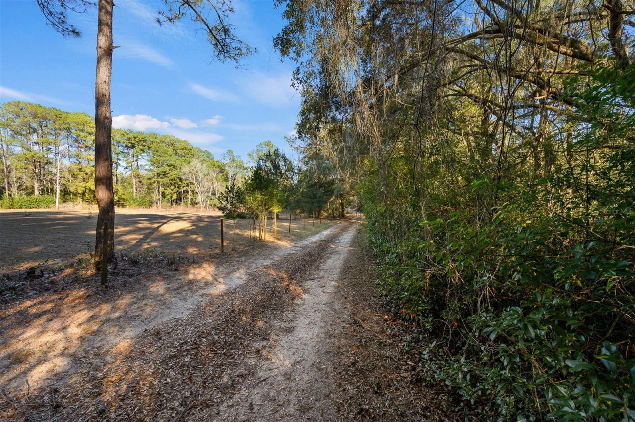 13076 SW 154th Street, Archer, FL 32618 Photo