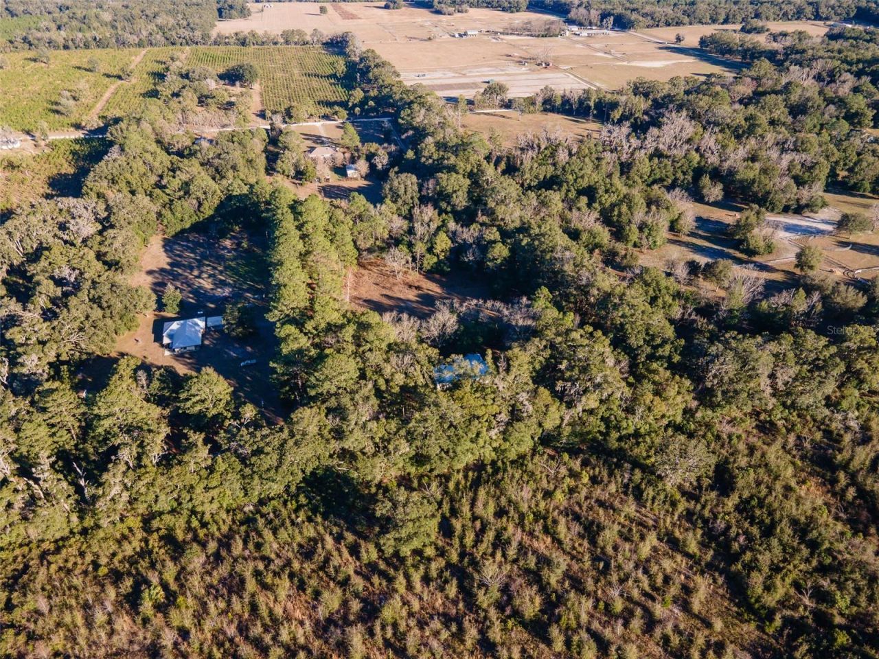 13076 SW 154th Street, Archer, FL 32618 Photo