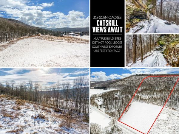 0 Betty Brook Road, Kortright, NY 13842