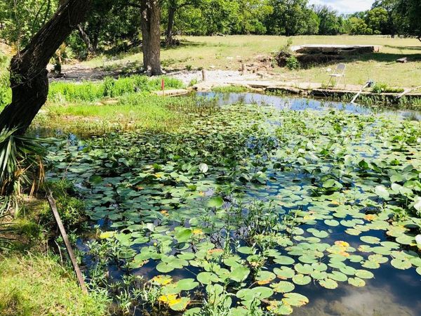 335 Rittimann, Spring Branch, TX 78070