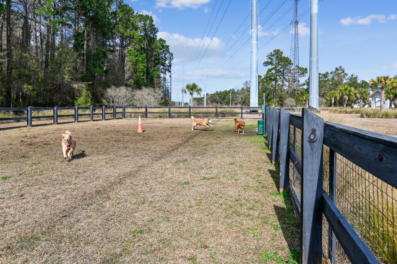 1009 Oak Bluff Avenue Photo 37