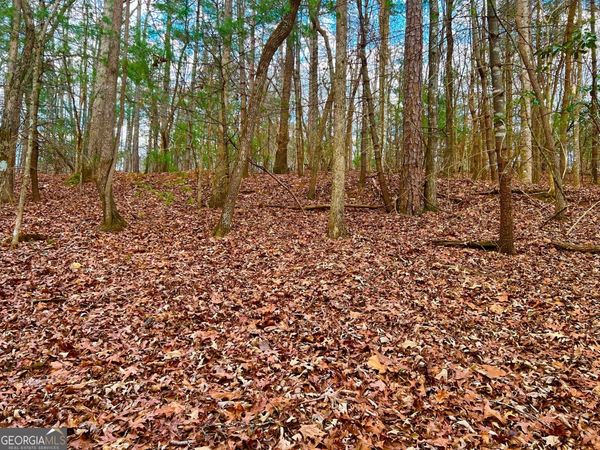 914 Villa Drive, Ellijay, GA 30540