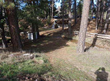 6569 Bucks Lake Road, Meadow Valley, CA 95956 Photo