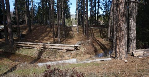 6569 Bucks Lake Road, Meadow Valley, CA 95956 Photo