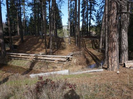 6569 Bucks Lake Road, Meadow Valley, CA 95956 Photo