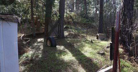 6569 Bucks Lake Road, Meadow Valley, CA 95956 Photo