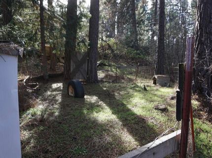 6569 Bucks Lake Road, Meadow Valley, CA 95956 Photo