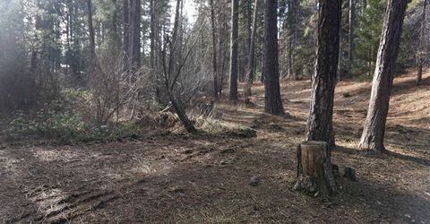 6569 Bucks Lake Road, Meadow Valley, CA 95956 Photo