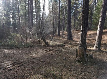 6569 Bucks Lake Road, Meadow Valley, CA 95956 Photo