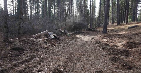6569 Bucks Lake Road, Meadow Valley, CA 95956 Photo