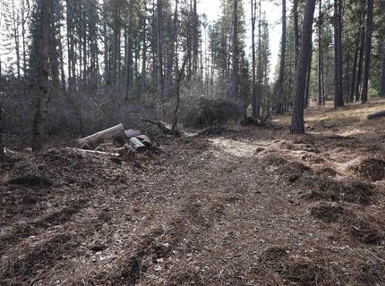 6569 Bucks Lake Road, Meadow Valley, CA 95956 Photo