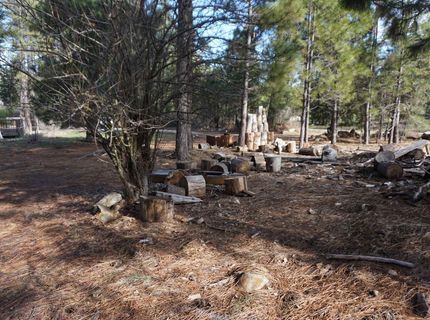 6569 Bucks Lake Road, Meadow Valley, CA 95956 Photo