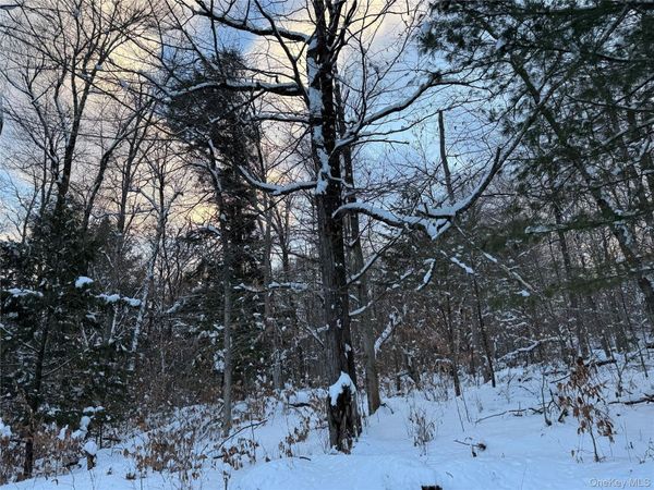 00 Starlight Road , Monticello, NY 12701