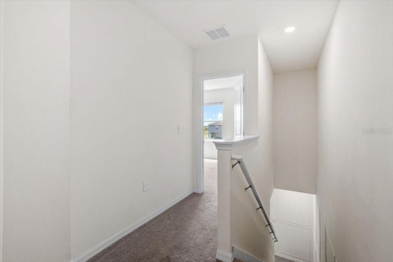 33064 Tulip Petal Lane, Wesley Chapel, FL 33545 Photo