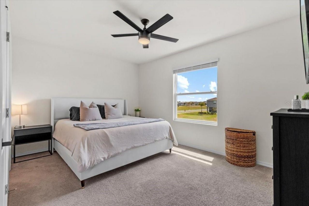 33064 Tulip Petal Lane, Wesley Chapel, FL 33545 Photo