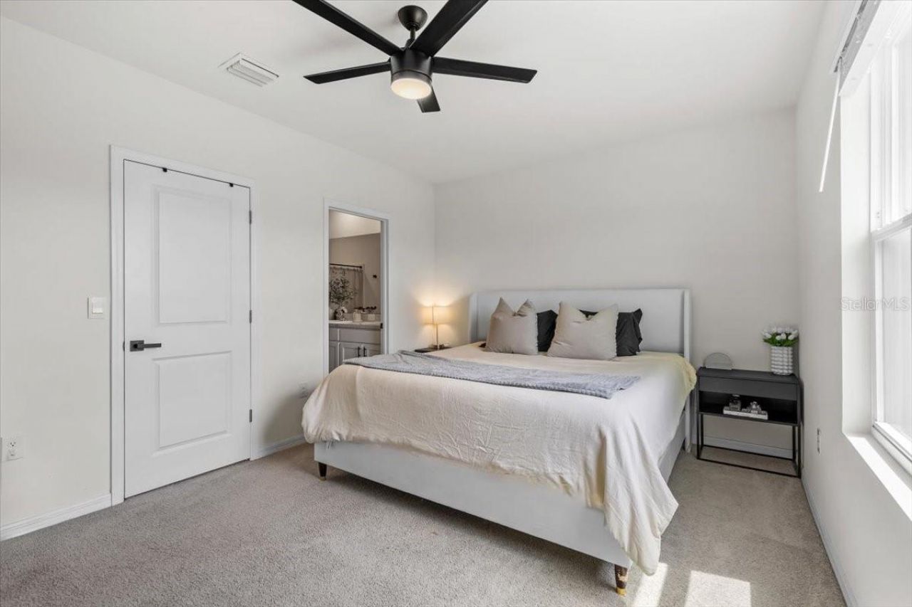 33064 Tulip Petal Lane, Wesley Chapel, FL 33545 Photo