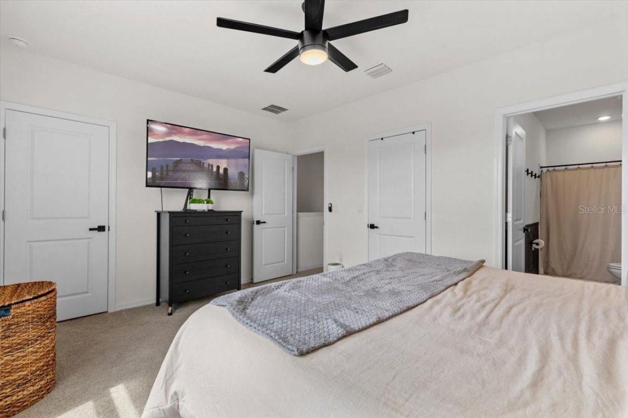 33064 Tulip Petal Lane, Wesley Chapel, FL 33545 Photo