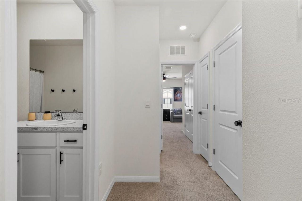 33064 Tulip Petal Lane, Wesley Chapel, FL 33545 Photo